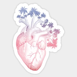 Berry Colored Anatomically Correct Human Heart - Palm Trees Sticker